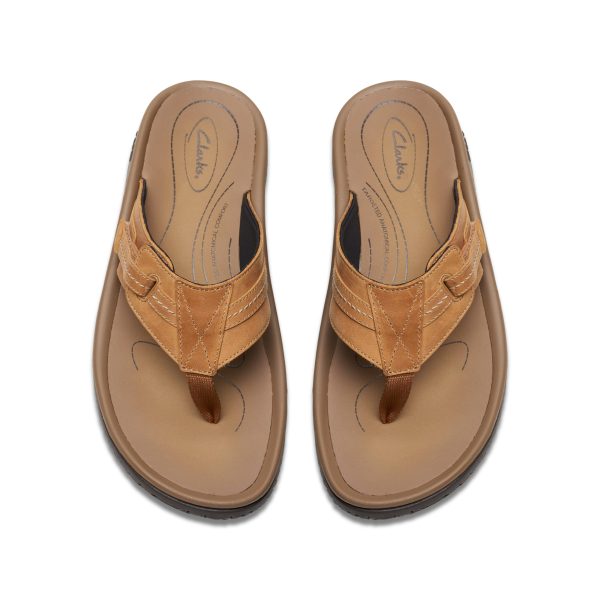 Men's Wesley Sun Flip-Flop